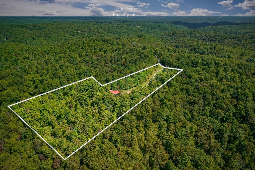 30211 White Oak Road Crawford, TN 38554 - Photo 23 of 24 a view of a tennis court