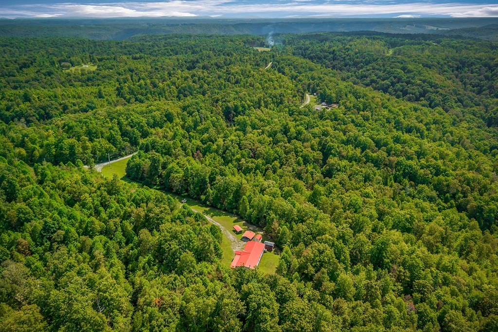 30211 White Oak Road Crawford, TN 38554 - Photo 24 of 24 a view of a yard