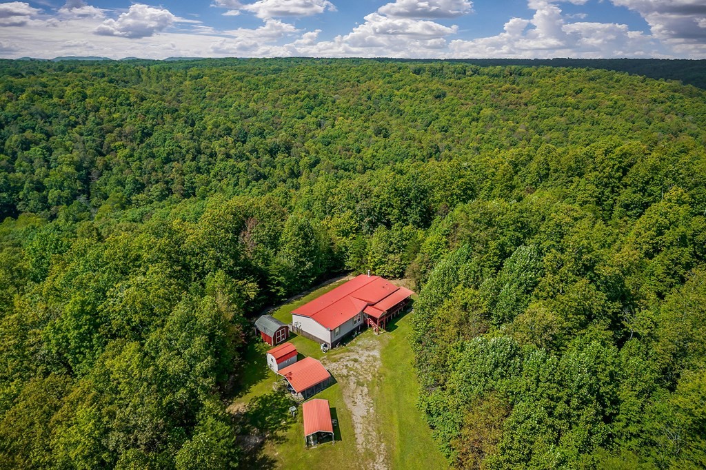 30211 White Oak Road Crawford, TN 38554 - Photo 3 of 24 a view of a outdoor space and a yard