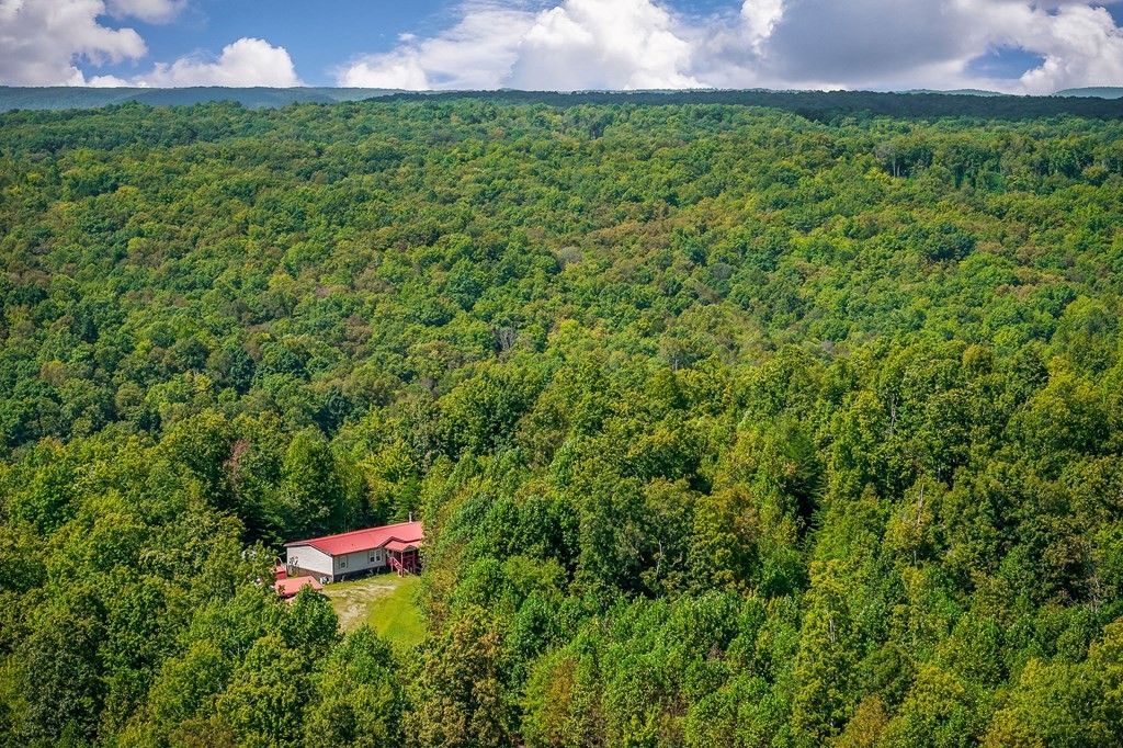 30211 White Oak Road Crawford, TN 38554 - Photo 4 of 24 a view of a backyard