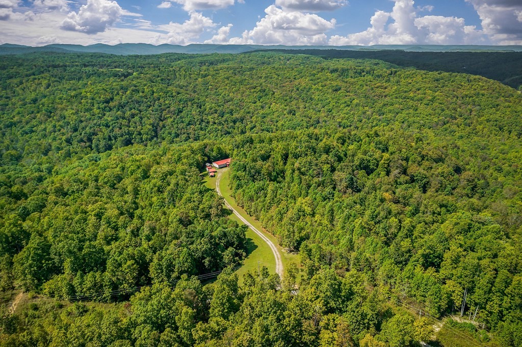 30211 White Oak Road Crawford, TN 38554 - Photo 5 of 24 a view of a yard