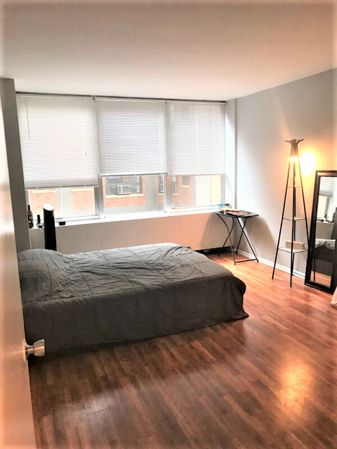 655 West Irving Park Road, Unit 315 Chicago, IL 60613 - Photo 12 of 18