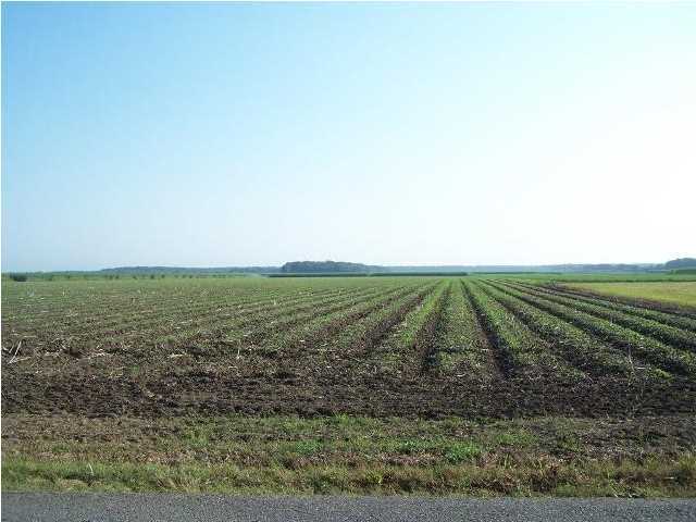 0 Old Jeanerette Road New Iberia, LA 70563 - Photo 10 of 12 Additional Photo