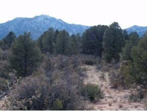 36 Clear Fork Road Prescott, AZ 86305 - Photo 3 of 3 Additional Photo