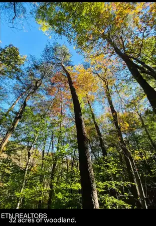 $550,000 | 364 Jasmine Road, Newport, TN 37821