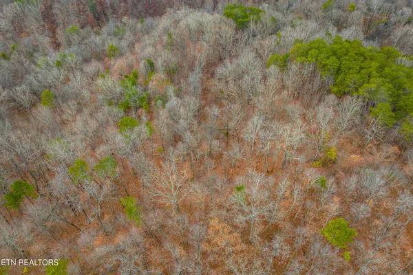 $550,000 | 364 Jasmine Road, Newport, TN 37821
