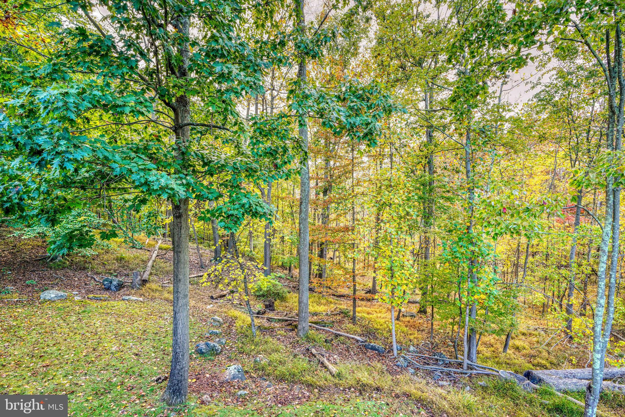 22 Hickory Ridge Court Catonsville, MD 21228 - Photo 22 of 83