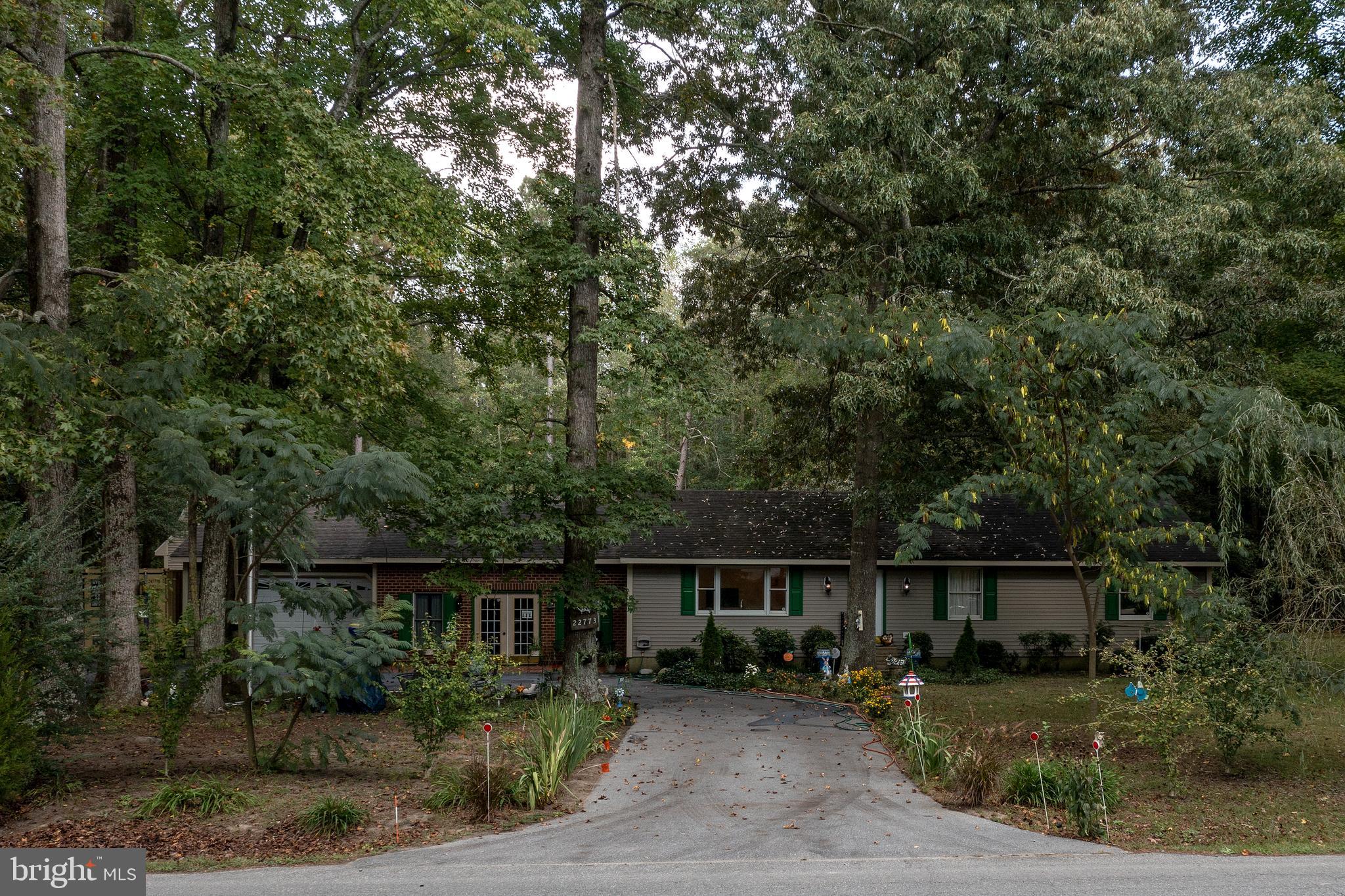 22773 Cedar Lane Georgetown, DE 19947 - Photo 7 of 49