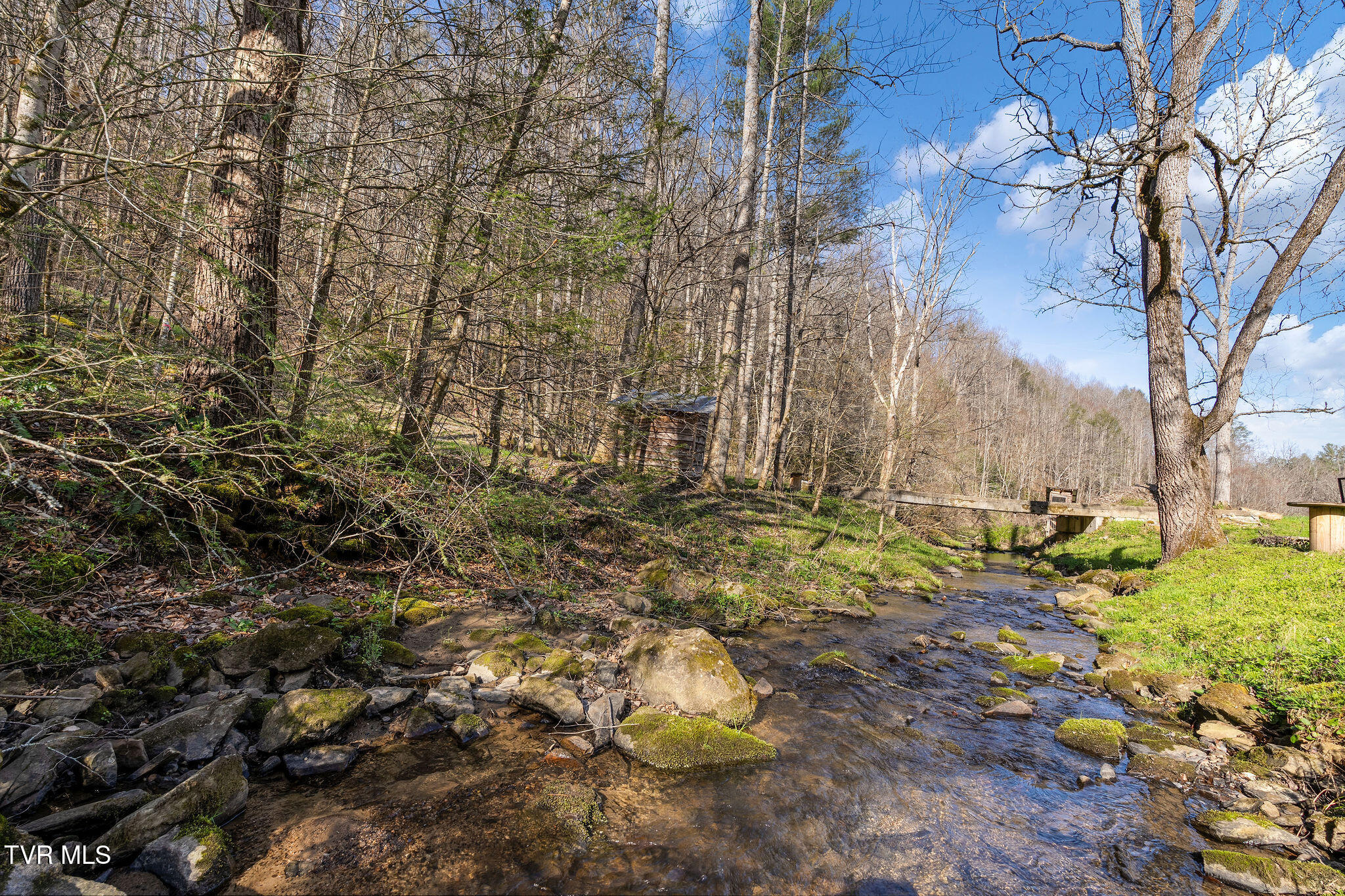 Tbd Raven Branch Road Del Rio, TN 37727 - Photo 5 of 29 DSC08842