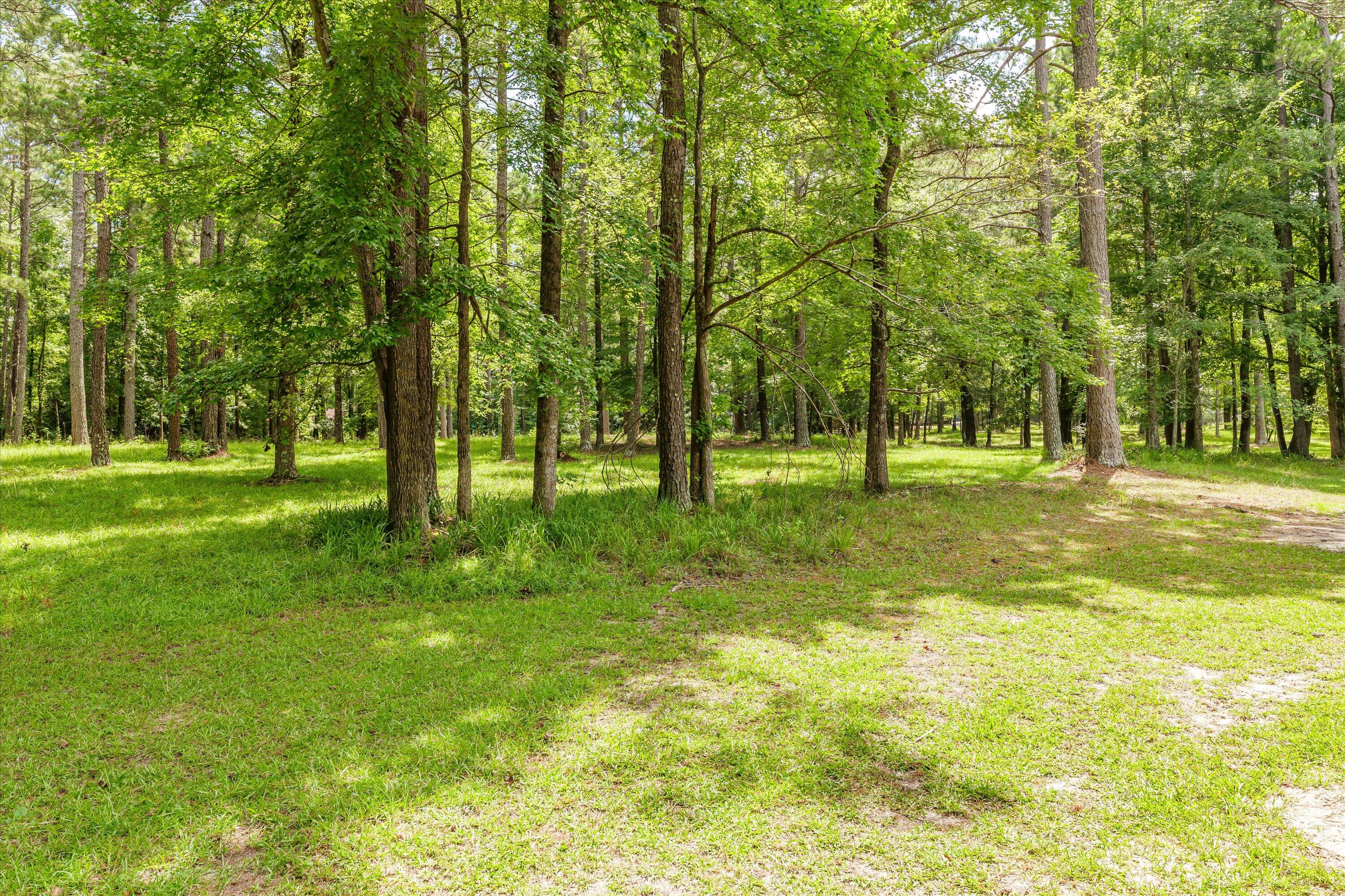 1 Harding Court Evans, GA 30809 - Photo 3 of 3 092-P1024010