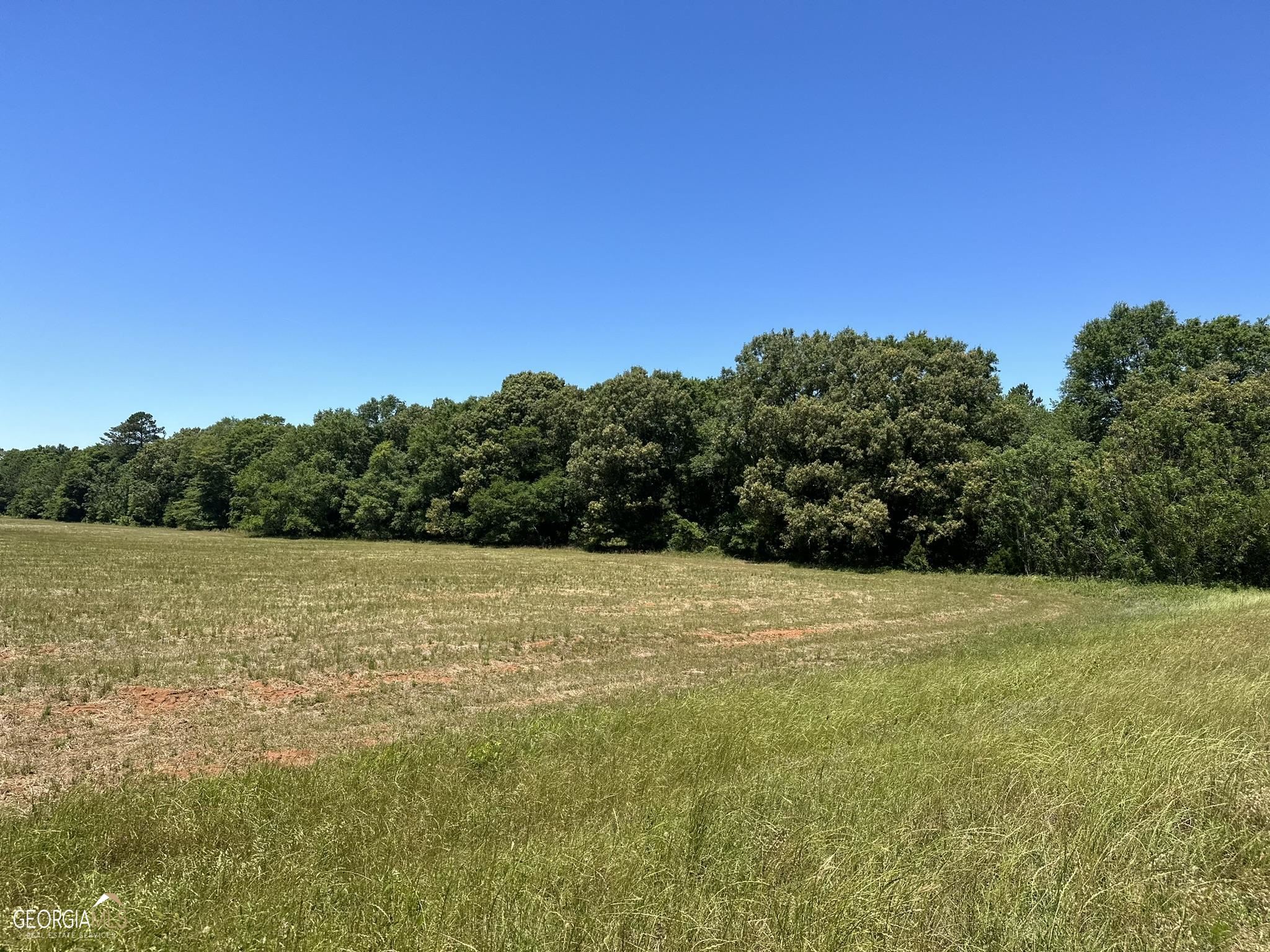 1 Carter Fish Pond Road Plains, GA 31780 - Photo 1 of 1 a view of an outdoor space and a yard