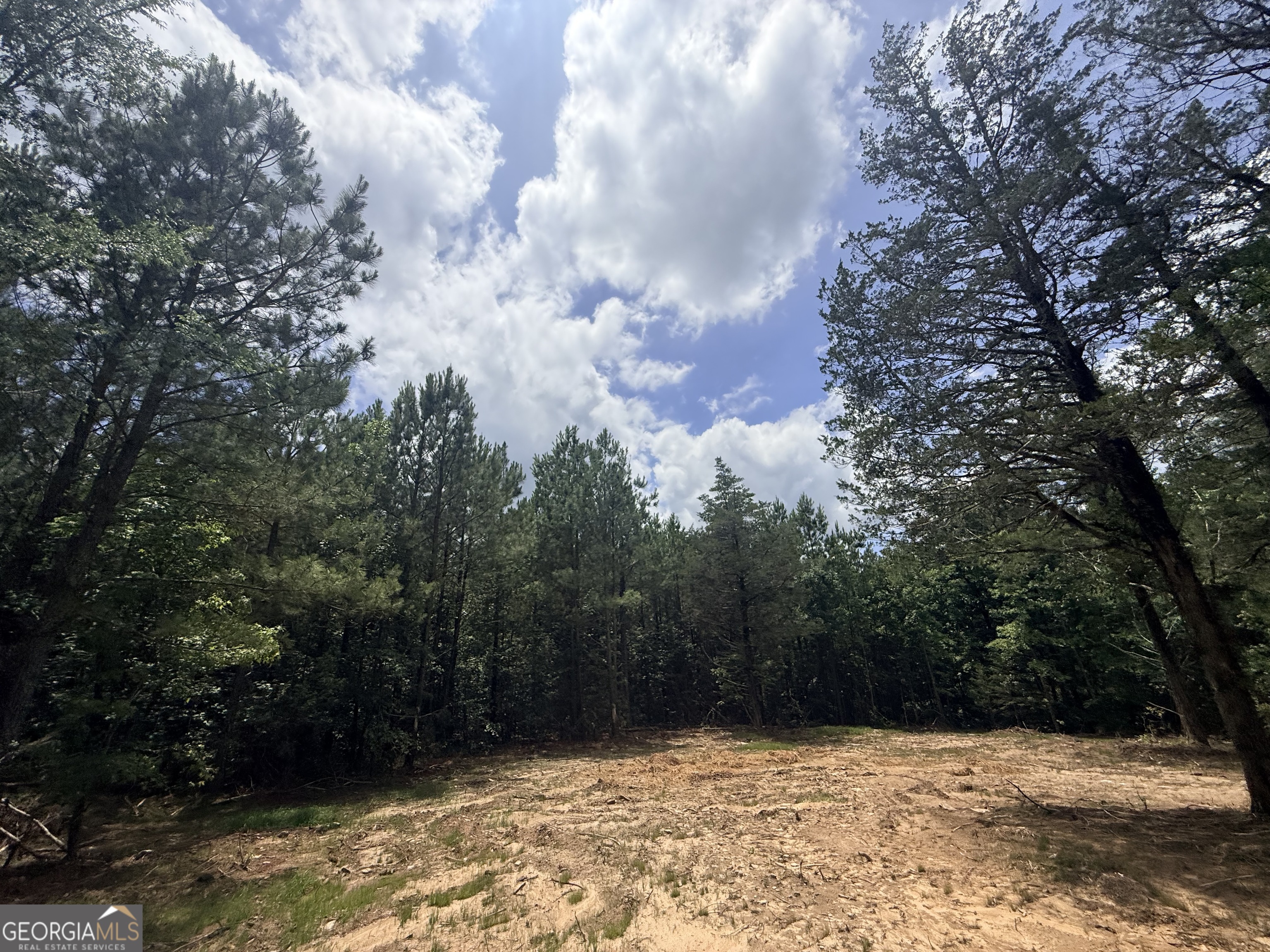 2787 Cedar Creek Road Elberton, GA 30635 - Photo 48 of 88