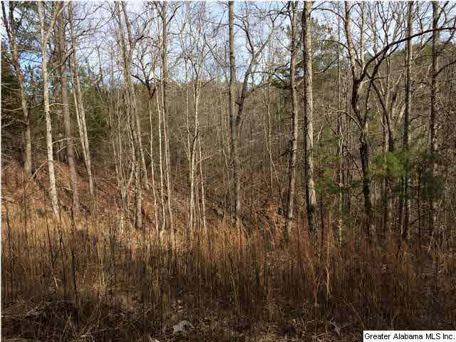 734 Valley Grove Road, Unit 15 4 ACR Remlap, AL 35133 - Photo 18 of 32