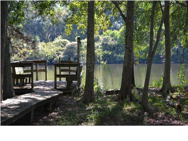 1348 Woodlock Road Mount Pleasant, SC 29464 - Photo 3 of 17 Additional Photo