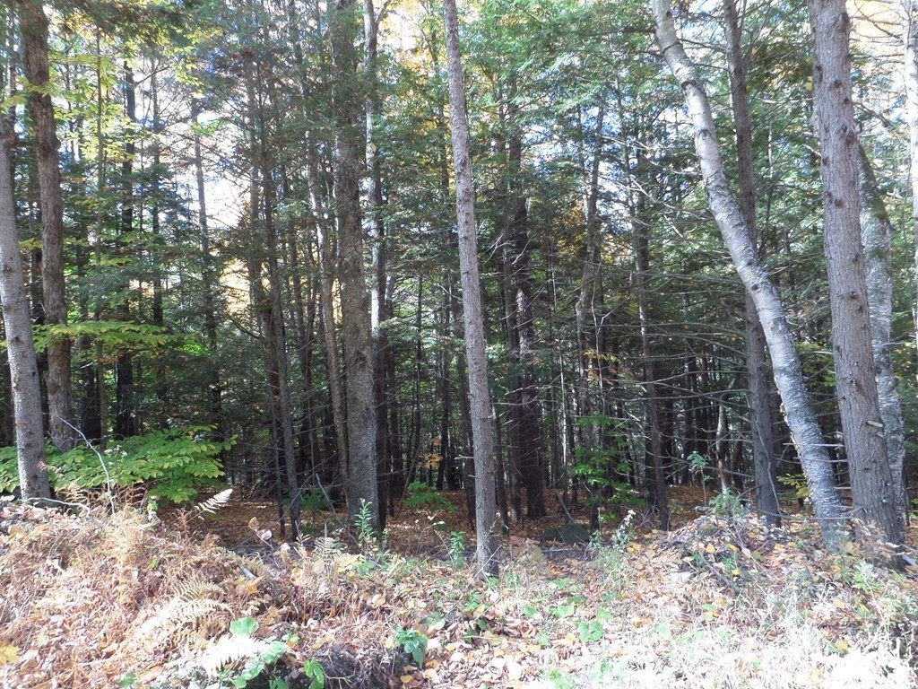 0 Thayer Hill Road Worthington, MA 01098 - Photo 3 of 4