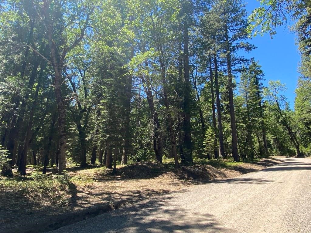3-e-29 Red Fir Road McCloud, CA 96057 - Photo 17 of 22 Gallery Image 17