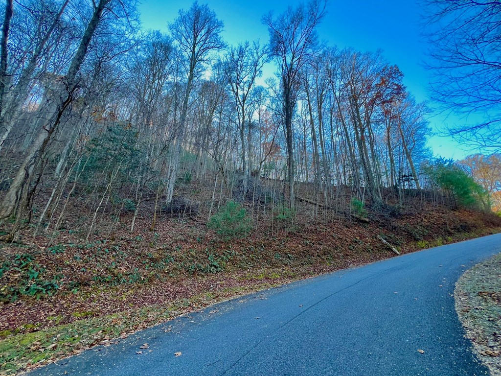 22 Davis Walker Ridge Mineral Bluff, GA 30559 - Photo 12 of 23 a view of a yard with trees