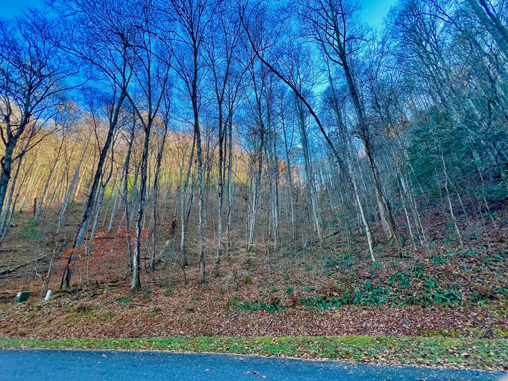 22 Davis Walker Ridge Mineral Bluff, GA 30559 - Photo 13 of 23 a view of backyard with green space