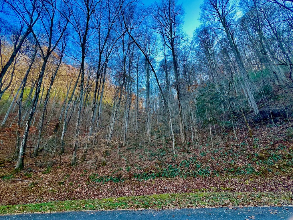 22 Davis Walker Ridge Mineral Bluff, GA 30559 - Photo 14 of 23 a view of backyard with green space