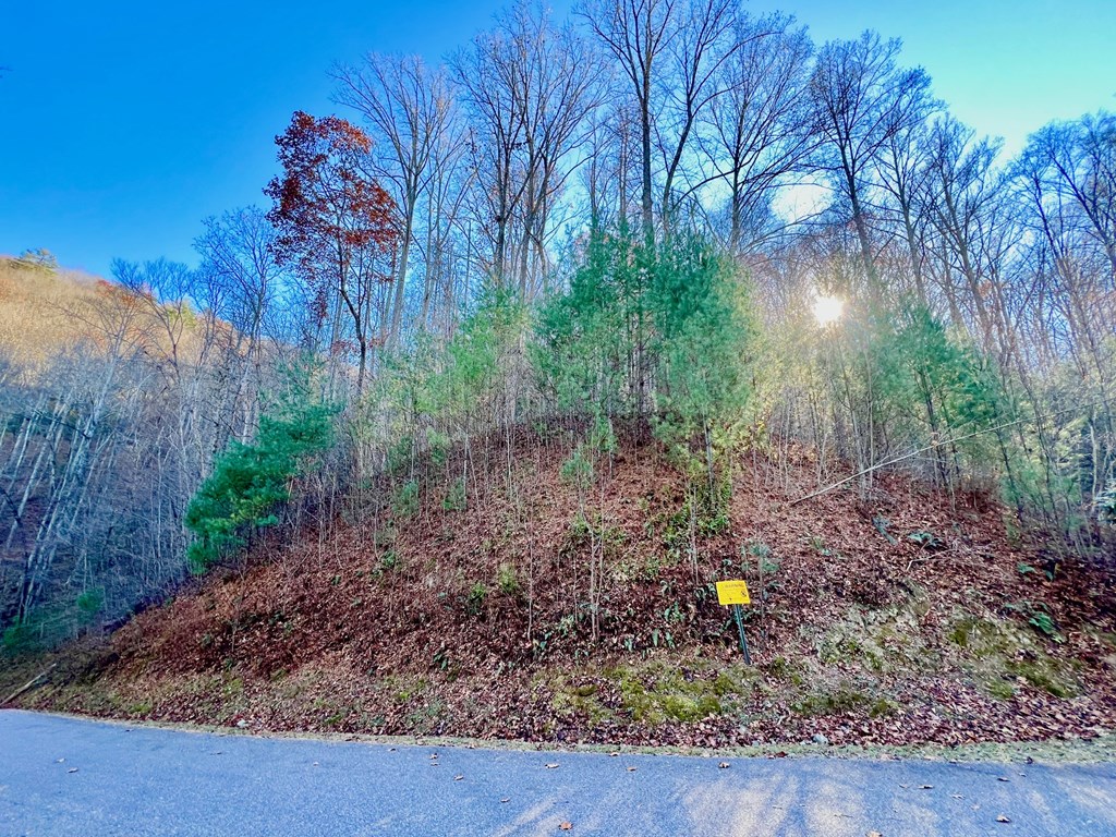22 Davis Walker Ridge Mineral Bluff, GA 30559 - Photo 17 of 23 a backyard of a house with lots of green space