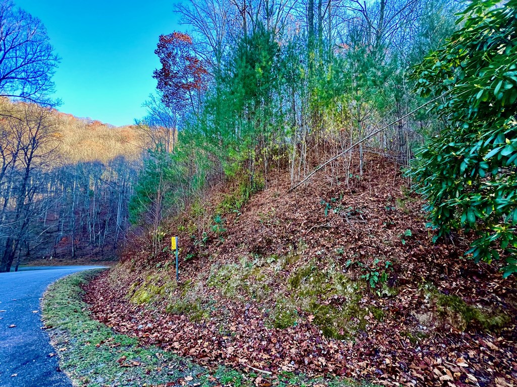 22 Davis Walker Ridge Mineral Bluff, GA 30559 - Photo 18 of 23 a view of a garden with plants and large trees