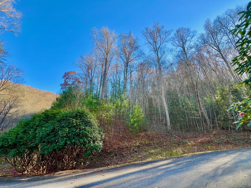 22 Davis Walker Ridge Mineral Bluff, GA 30559 - Photo 19 of 23 a backyard of a house with lots of green space
