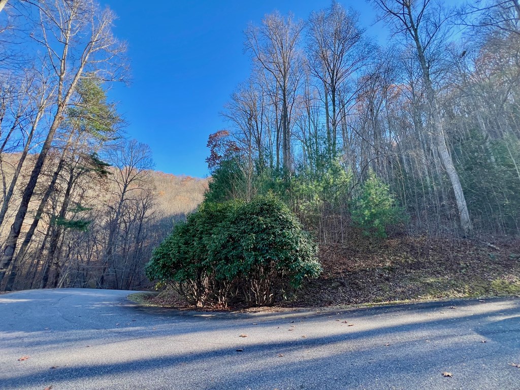 22 Davis Walker Ridge Mineral Bluff, GA 30559 - Photo 20 of 23 a front view of a house with lots of trees