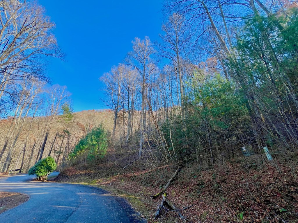 22 Davis Walker Ridge Mineral Bluff, GA 30559 - Photo 21 of 23 a view of backyard with green space