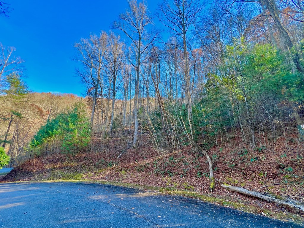 22 Davis Walker Ridge Mineral Bluff, GA 30559 - Photo 22 of 23 a view of a backyard