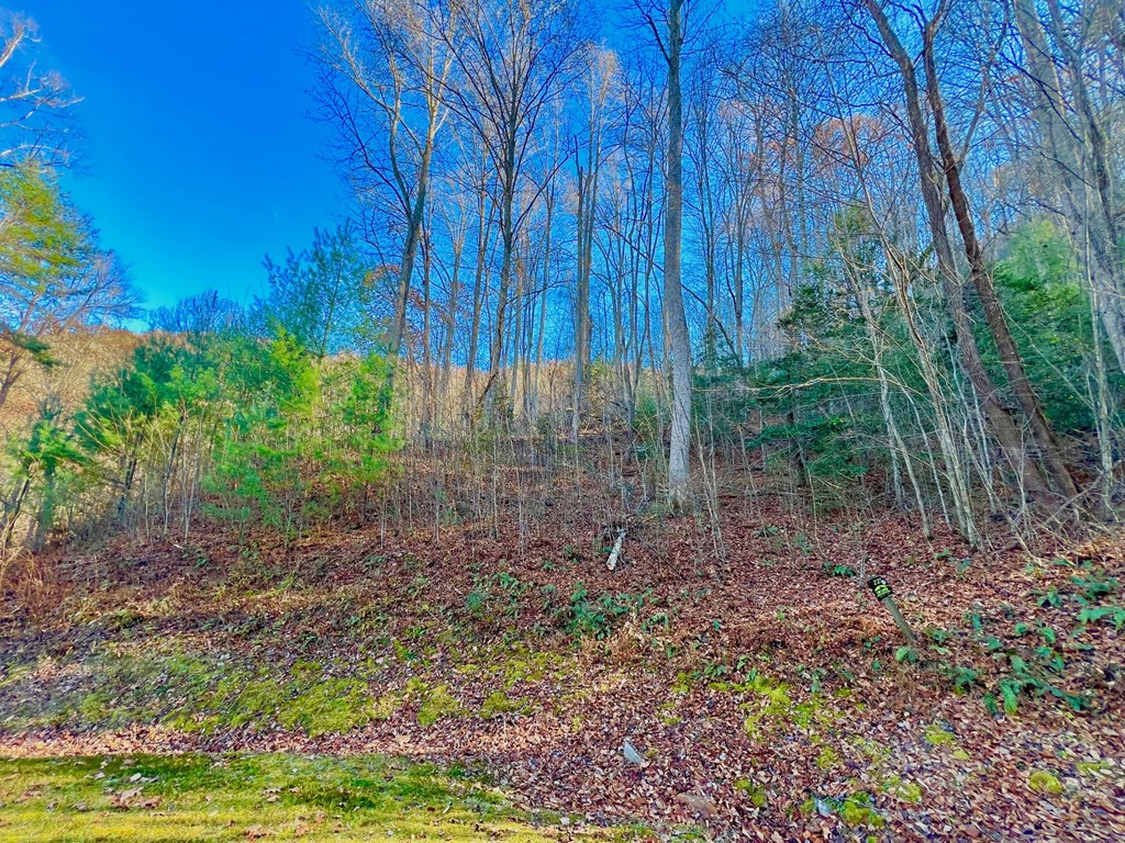 22 Davis Walker Ridge Mineral Bluff, GA 30559 - Photo 23 of 23 a backyard of a house with lots of green space