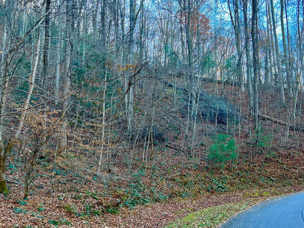 22 Davis Walker Ridge Mineral Bluff, GA 30559 - Photo 4 of 23 a view of a forest with a tree