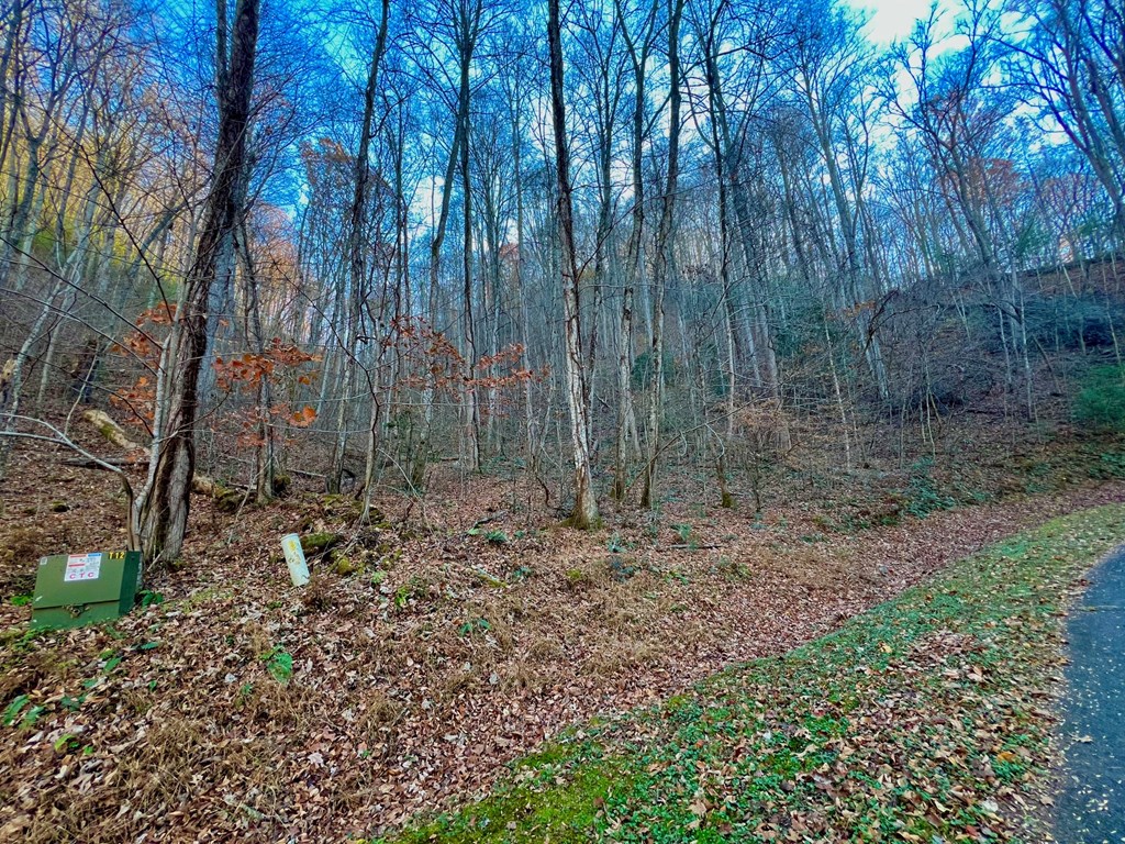 22 Davis Walker Ridge Mineral Bluff, GA 30559 - Photo 7 of 23 a view of a yard with trees