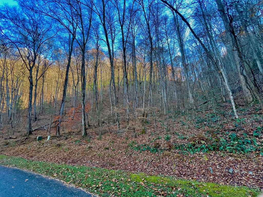 22 Davis Walker Ridge Mineral Bluff, GA 30559 - Photo 8 of 23 a backyard of a house with lots of green space