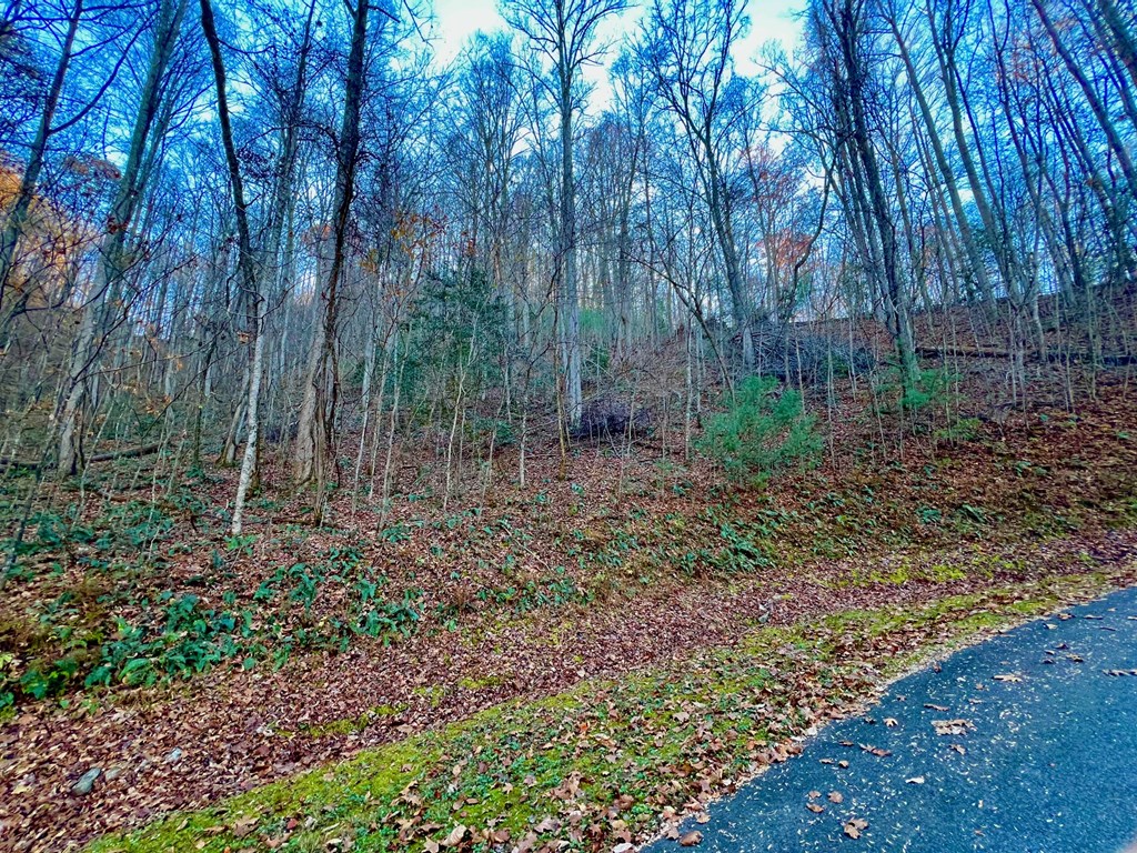 22 Davis Walker Ridge Mineral Bluff, GA 30559 - Photo 10 of 23 a view of forest