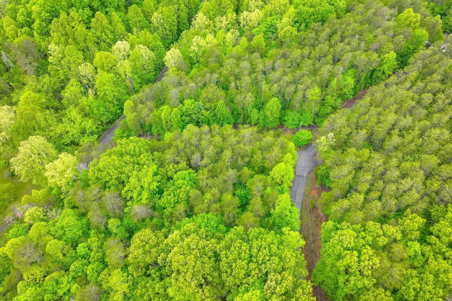 Lot 60 Old Barn Road Moneta, VA 24121 - Photo 9 of 31 20260520134557218101000000-o
