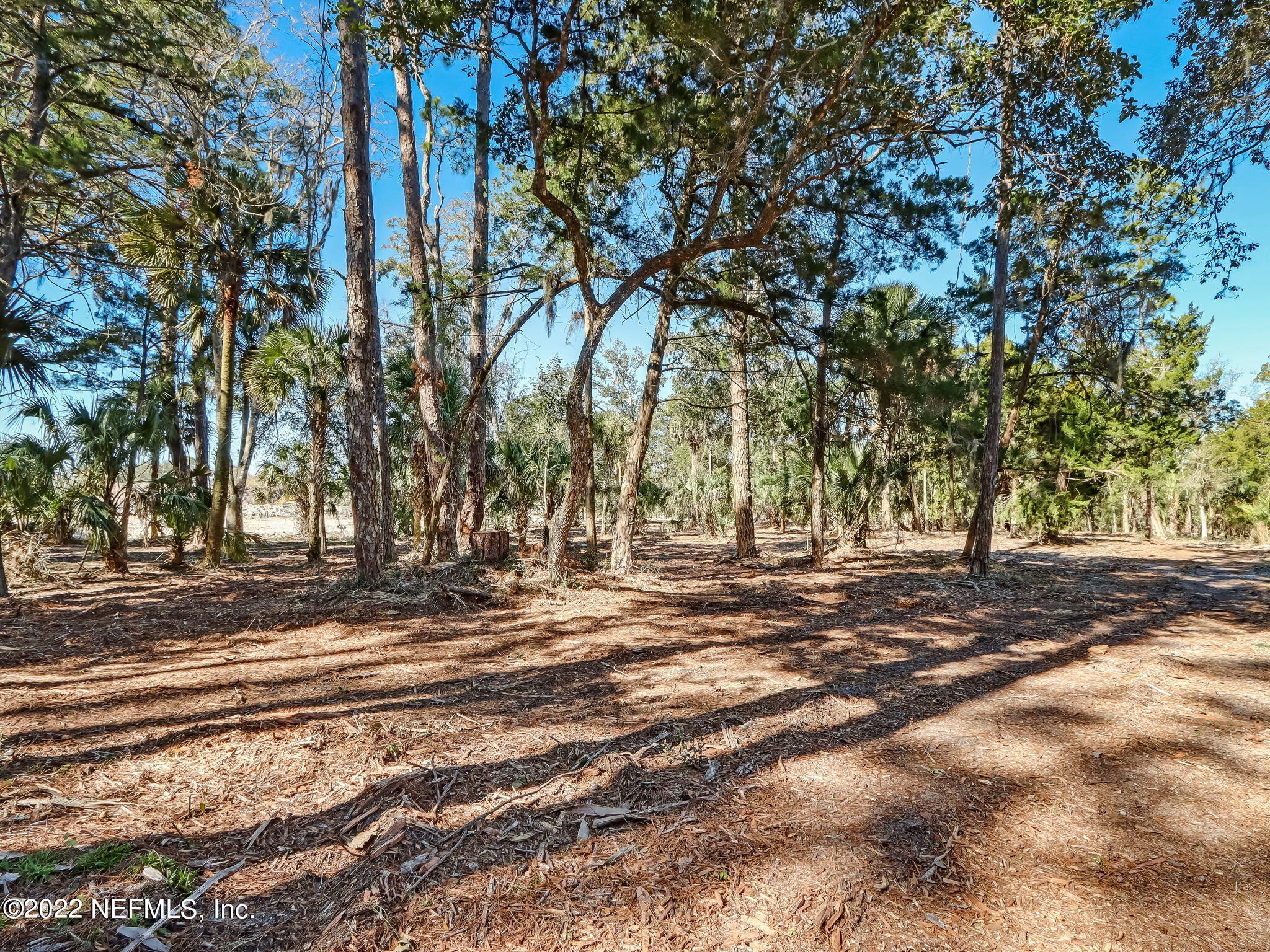 409 Shell Ridge Lane Ponte Vedra, FL 32081 - Photo 11 of 28 15-web-or-mls-15_River Landing Lot 60 Hi