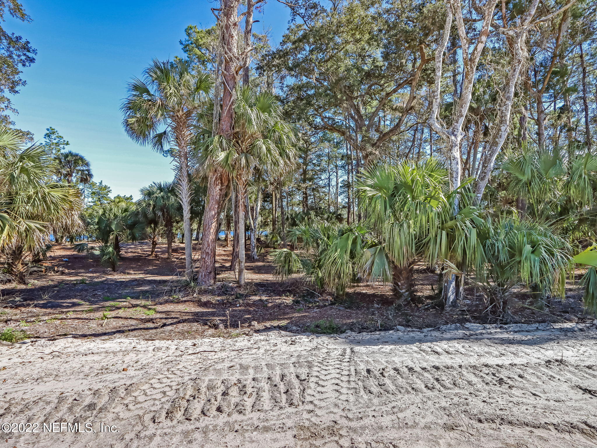409 Shell Ridge Lane Ponte Vedra, FL 32081 - Photo 6 of 28 10-web-or-mls-10_River Landing Lot 60 Hi