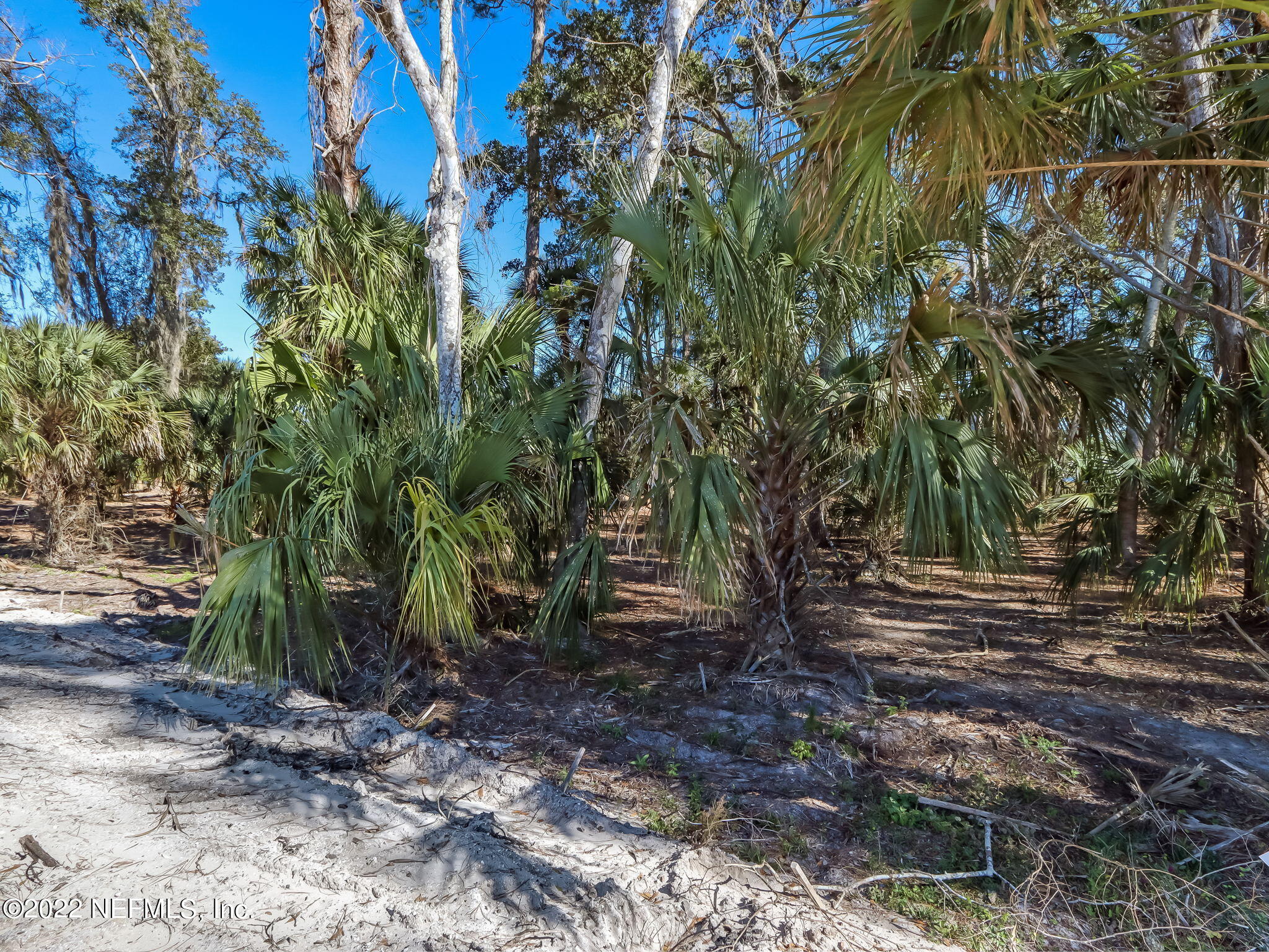 409 Shell Ridge Lane Ponte Vedra, FL 32081 - Photo 7 of 28 11-web-or-mls-11_River Landing Lot 60 Hi