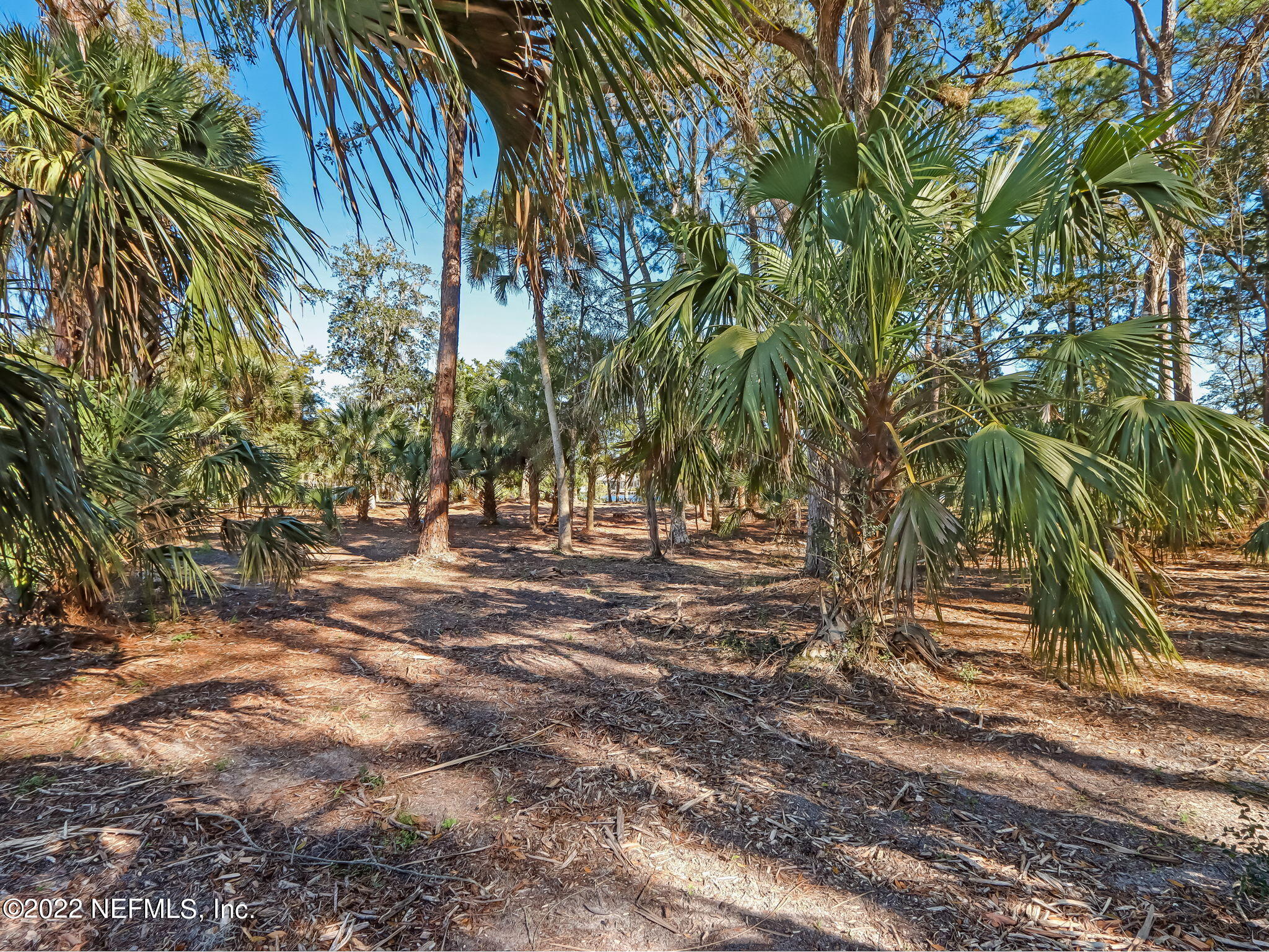 409 Shell Ridge Lane Ponte Vedra, FL 32081 - Photo 8 of 28 12-web-or-mls-12_River Landing Lot 60 Hi