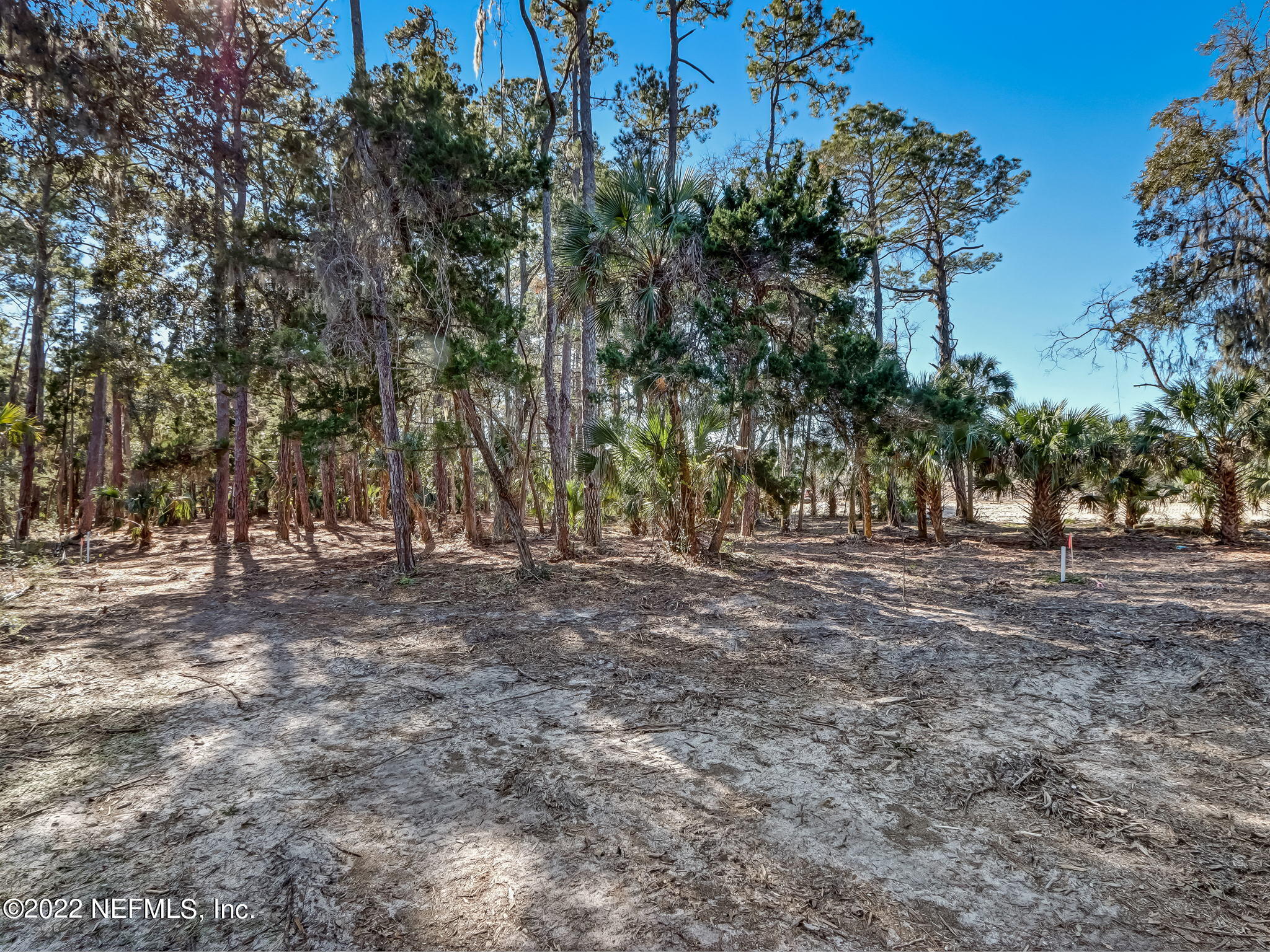 409 Shell Ridge Lane Ponte Vedra, FL 32081 - Photo 9 of 28 13-web-or-mls-13_River Landing Lot 60 Hi