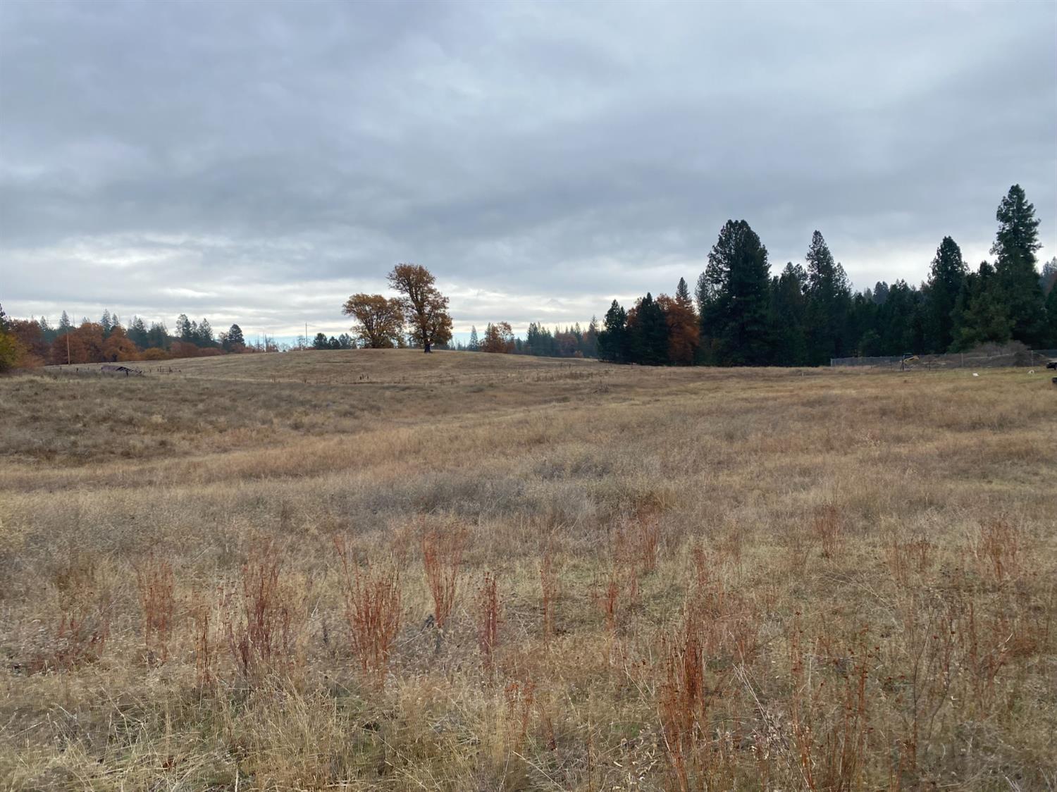 6434 Greeley Hill Road Coulterville, CA 95311 - Photo 4 of 11