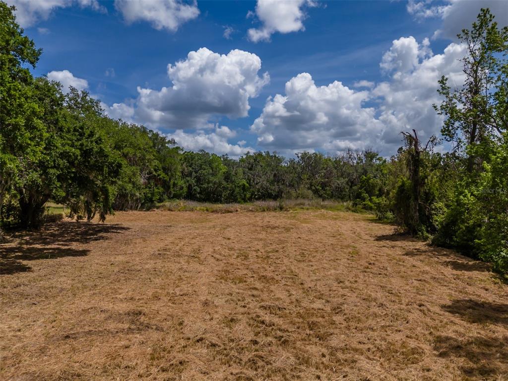 5106 Bell Shoals Road Valrico, FL 33596 - Photo 8 of 18