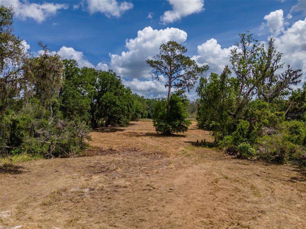 5106 Bell Shoals Road Valrico, FL 33596 - Photo 9 of 18 a view of a yard with a tree