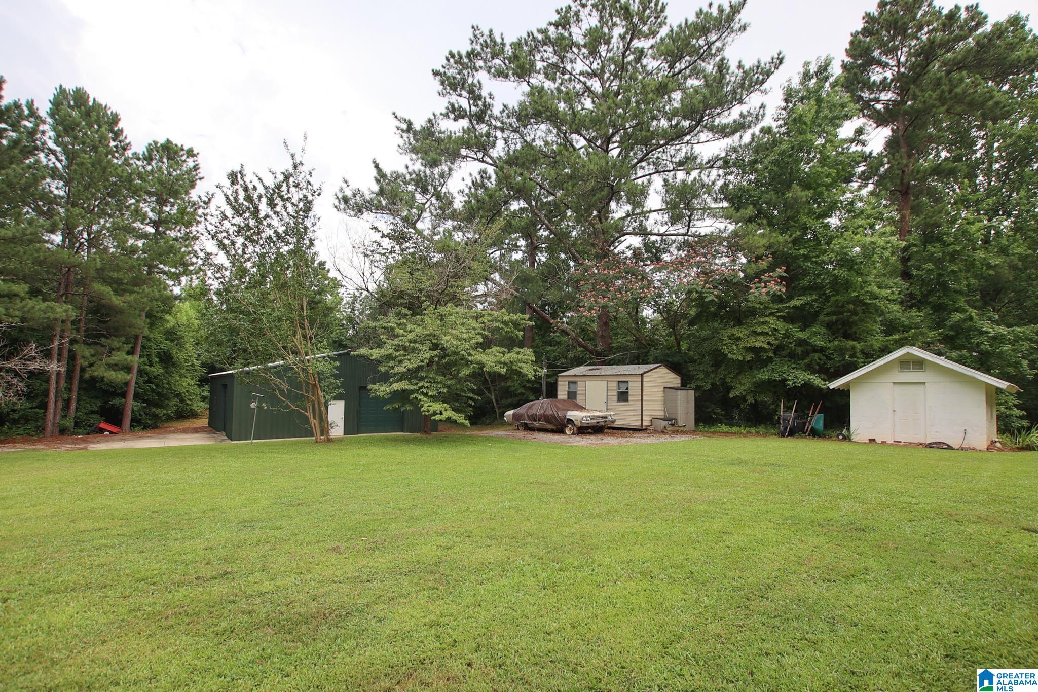 3794 Cheaha Road Munford, AL 36268 - Photo 35 of 40