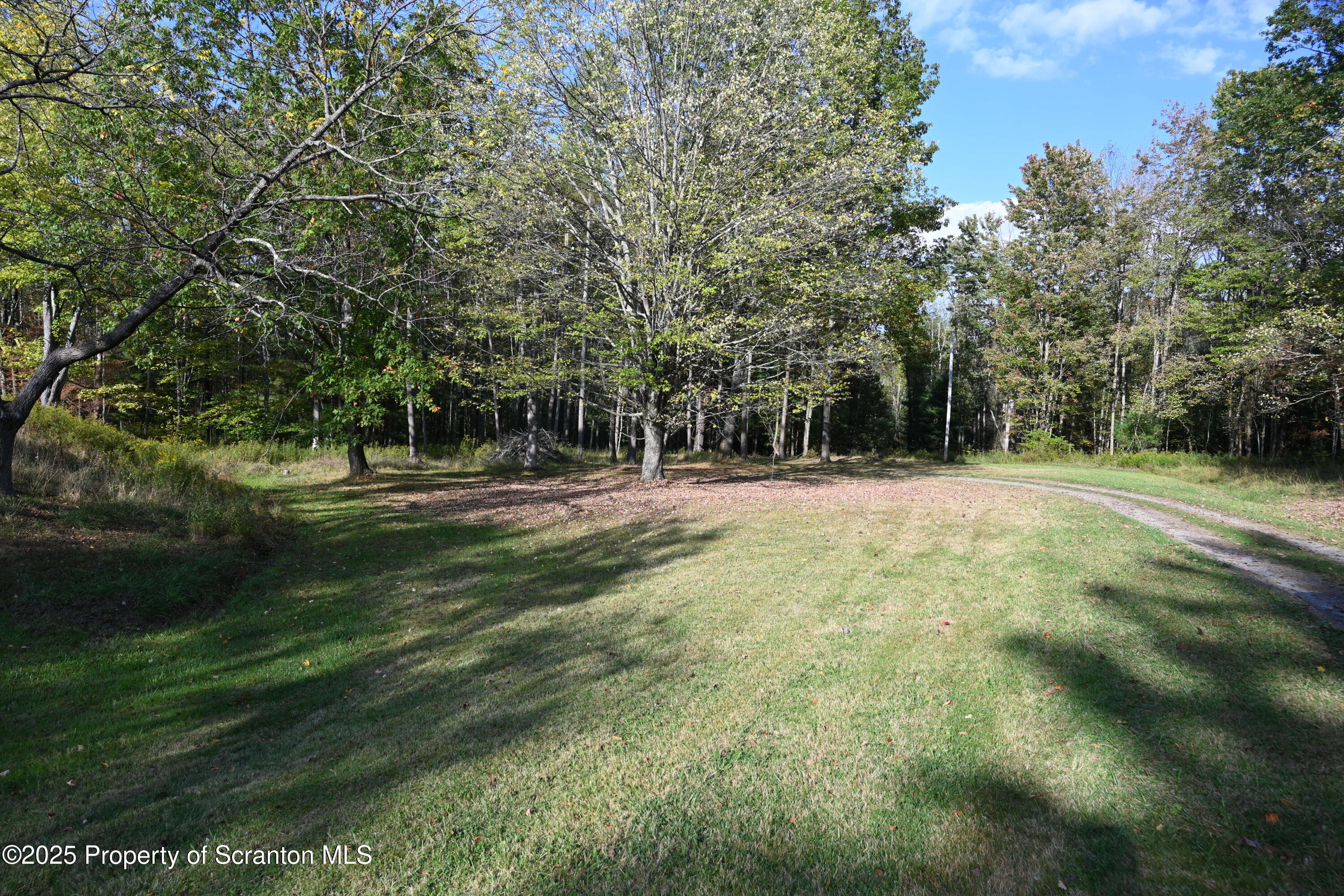 1271 Graham Holw Road Hallstead, PA 18822 - Photo 39 of 56 a backyard of a house with lots of green space