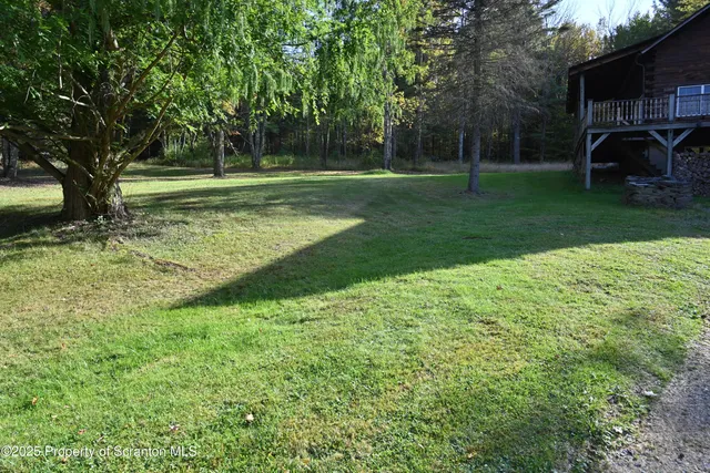 a big yard with large trees and plants