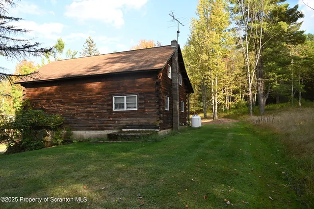 a view of a park with large trees