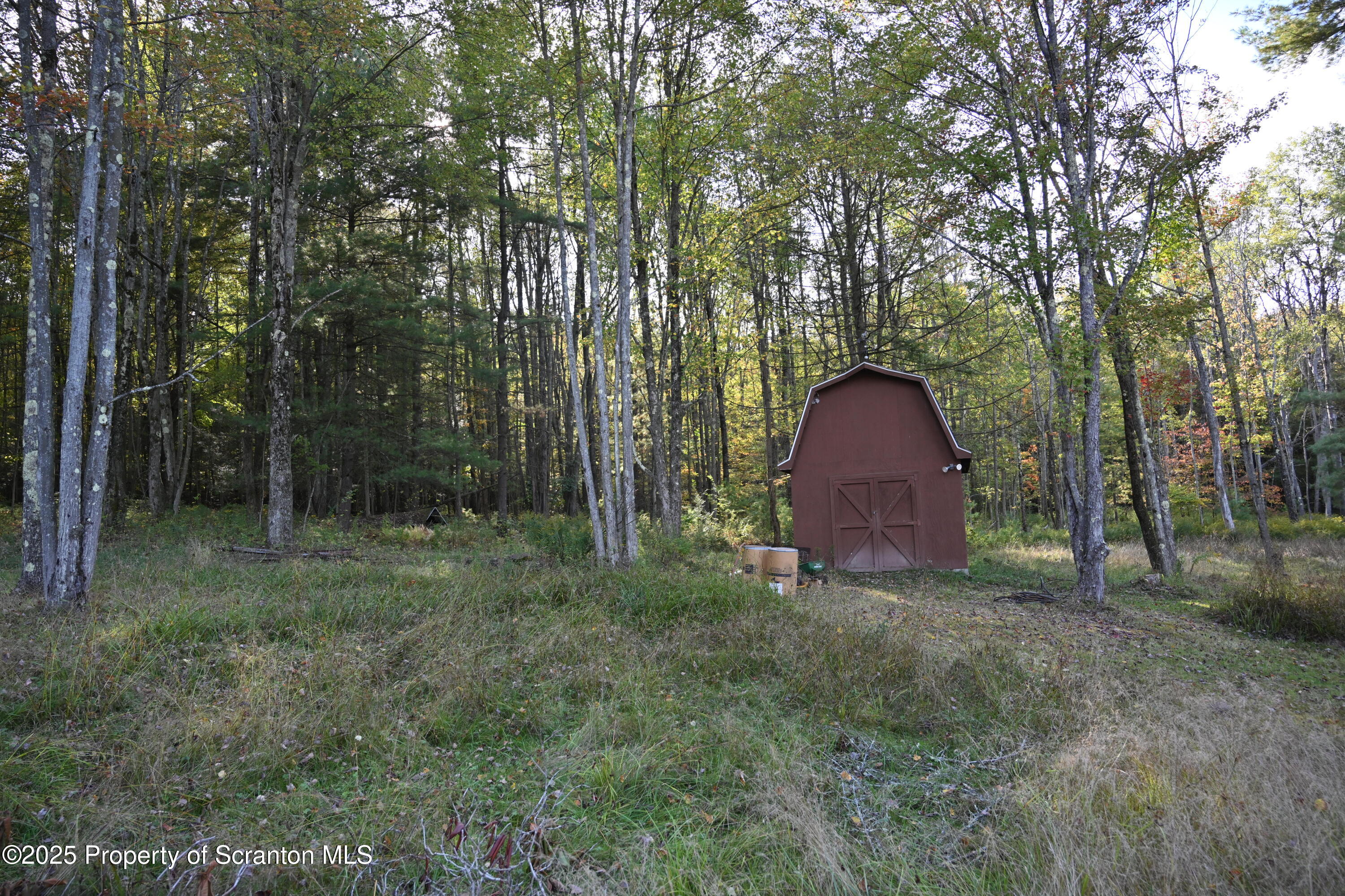 1271 Graham Holw Road Hallstead, PA 18822 - Photo 49 of 56 a big yard with large trees and plants