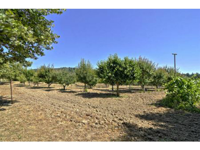 23700 Morrill Cutoff Road Los Gatos, CA 95033 - Photo 14 of 25 Gallery Image 14