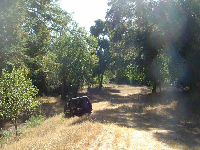 23700 Morrill Cutoff Road Los Gatos, CA 95033 - Photo 16 of 25 Gallery Image 16